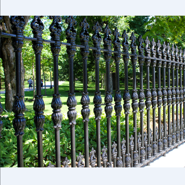 Cast Iron Fences and Gate