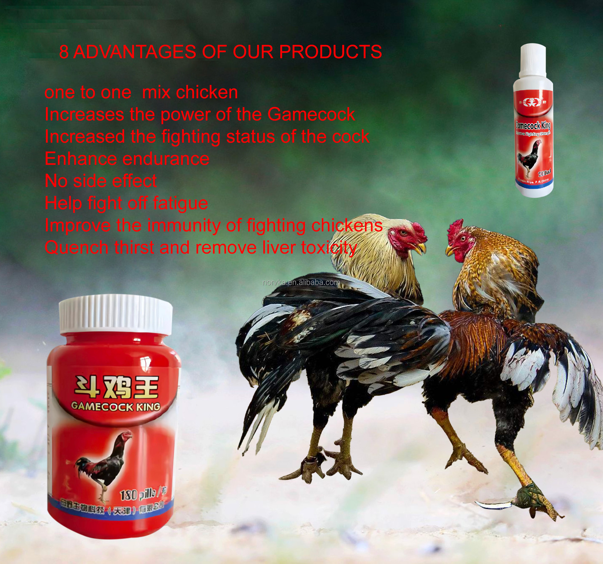 Gamefowl rooster product suppliments for fighting roosters supplement  filipino supplement for roosters fighting cocks