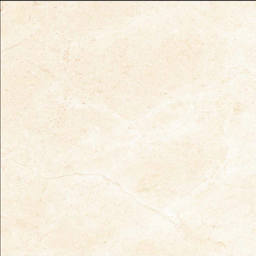 Digital Glazed Vitrified Tiles in 800*800mm in Model: 