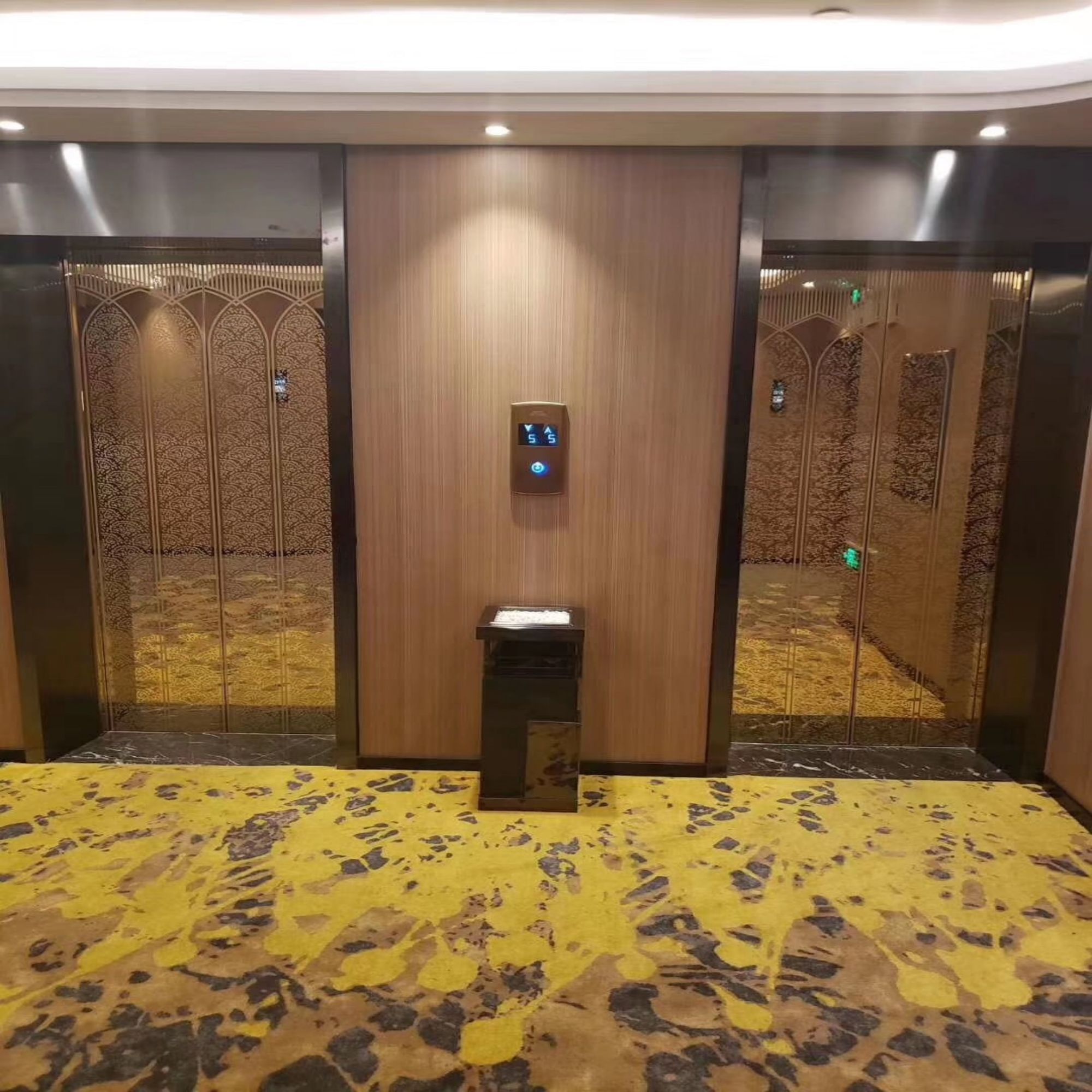 luxury decoration Customized differentiated High stability passenger elevator for 6 person