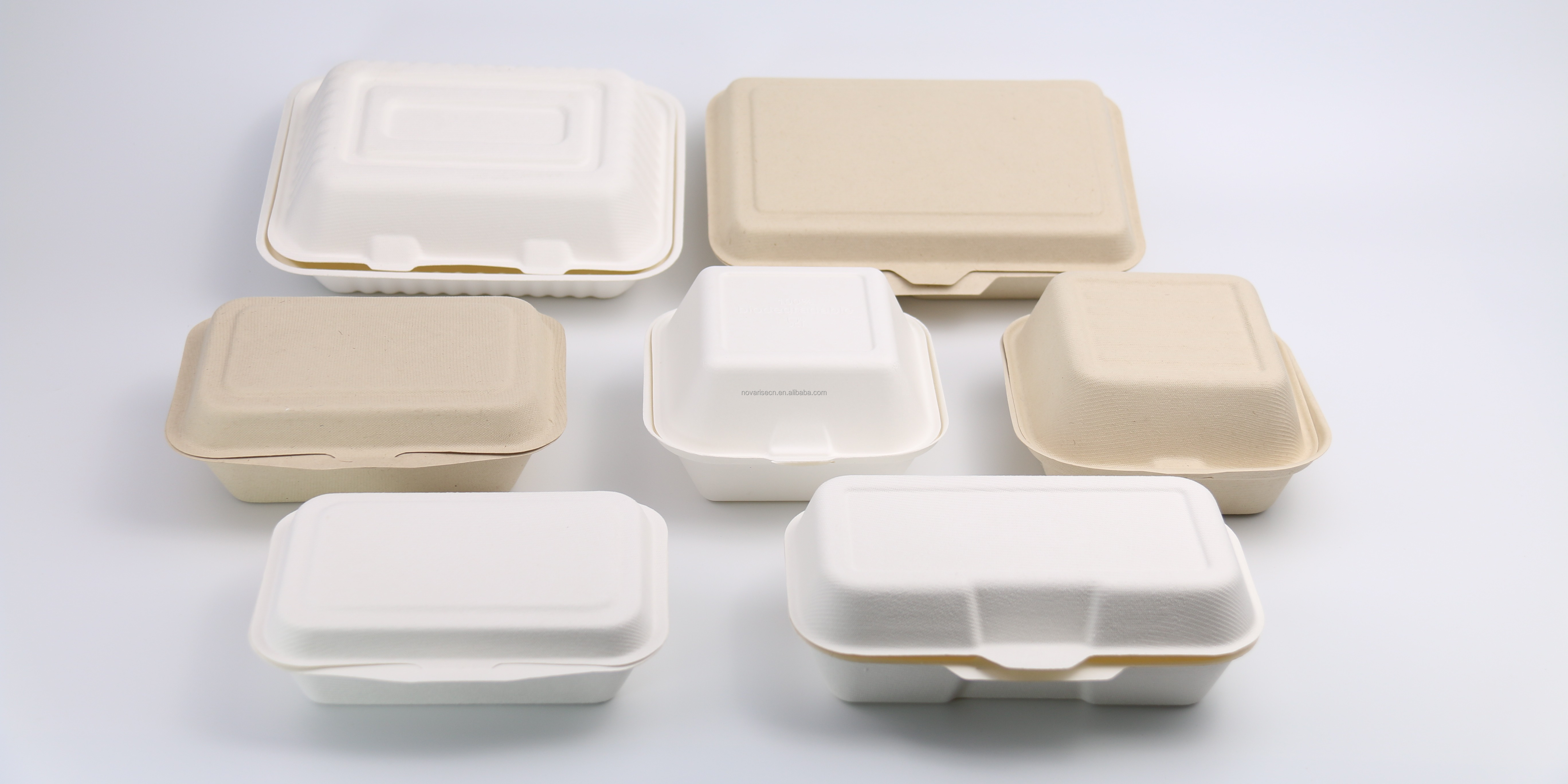 Custom Logo Biodegradable Sugarcane Bagasse Sushi Plate Tray Sugar Cane Disposable Food Takeaway Container With Lid