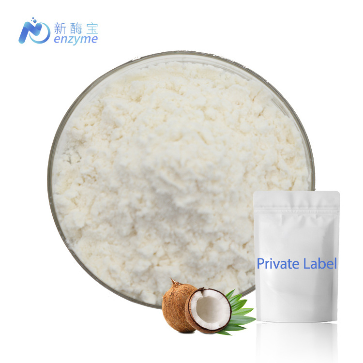 Wholesale Bulk OEM Package Organic Coconut Milk Powder In 25KG Bags