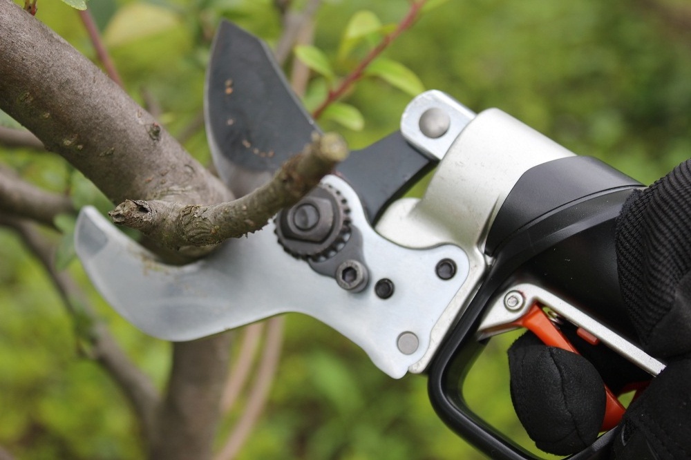 36V  lithium battery powered electric pruning shears electric scissors for hard branches