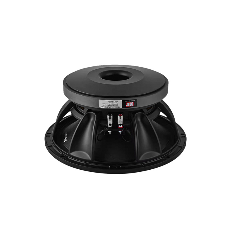 Professional speaker manufacturer supplier speaker 12 inch 220mm magnet 4 inch voice coil mid-woofer subwoofer