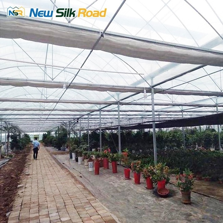 Single Layer Agricultural Greenhouses Square Shape Waterproof and Economical Galvanized Steel Frame Equipment for Sale