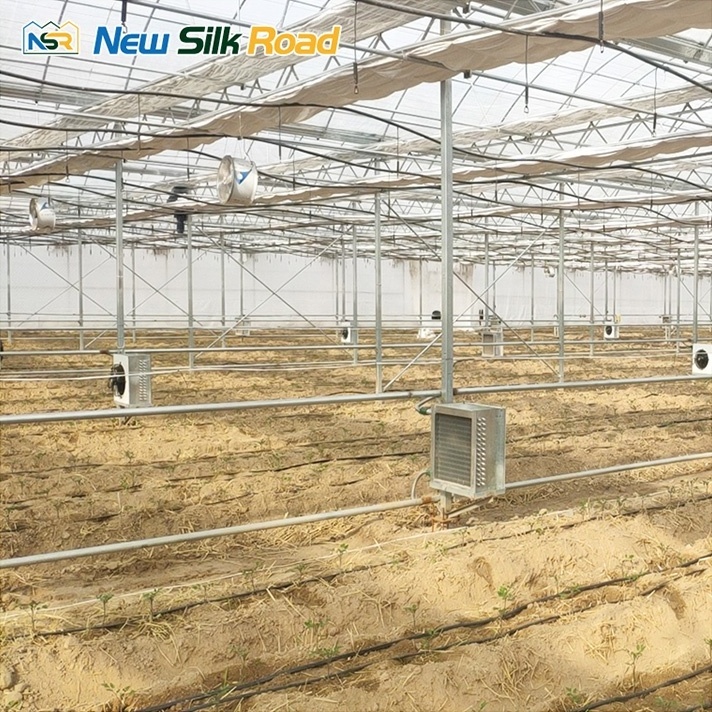 Single Layer Agricultural Greenhouses Square Shape Waterproof and Economical Galvanized Steel Frame Equipment for Sale