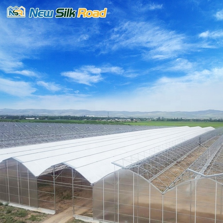 Single Layer Agricultural Greenhouses Square Shape Waterproof and Economical Galvanized Steel Frame Equipment for Sale