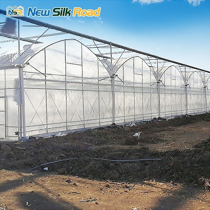 Single Layer Agricultural Greenhouses Square Shape Waterproof and Economical Galvanized Steel Frame Equipment for Sale