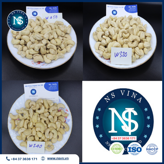 Cashew W240, W320, WS, LP, SP, SW Wholesales High Quality Dried Cashew Nuts Fresh Good Price And Salted Roasted Cashew Nuts