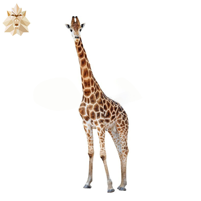 Outdoor large decoration fiberglass sculpture giraffe statue NT-CH264