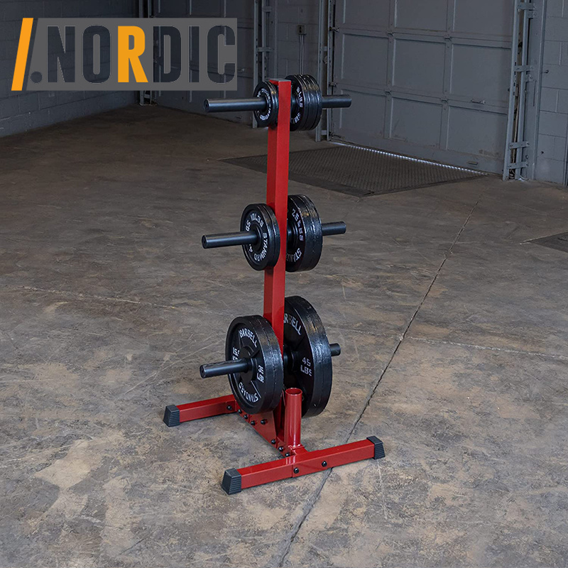 Weight Rack for 2 inch Plate and Barbell Home Gym Stand Only for Home Gym Weight Rack for Dumbbells,Compact Design