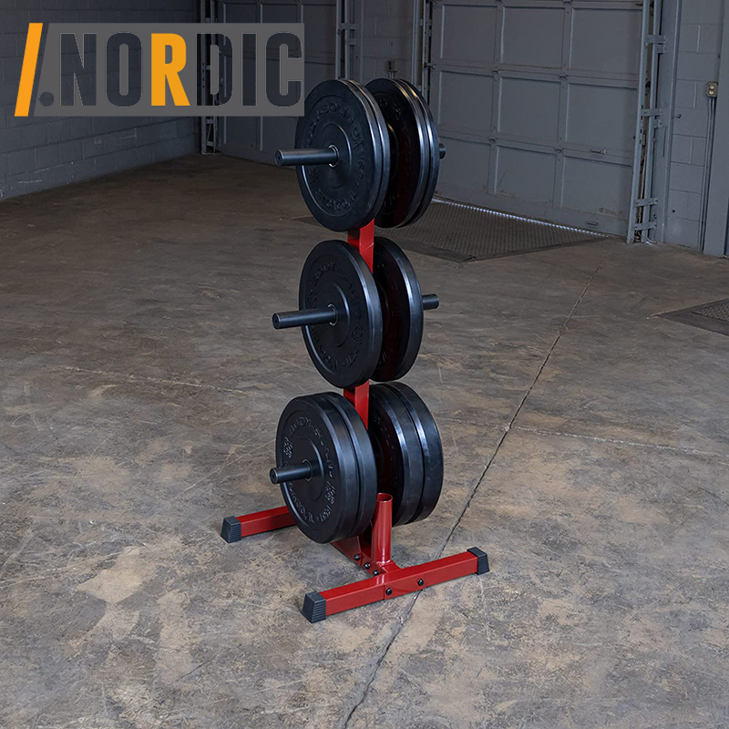 Weight Rack for 2 inch Plate and Barbell Home Gym Stand Only for Home Gym Weight Rack for Dumbbells,Compact Design