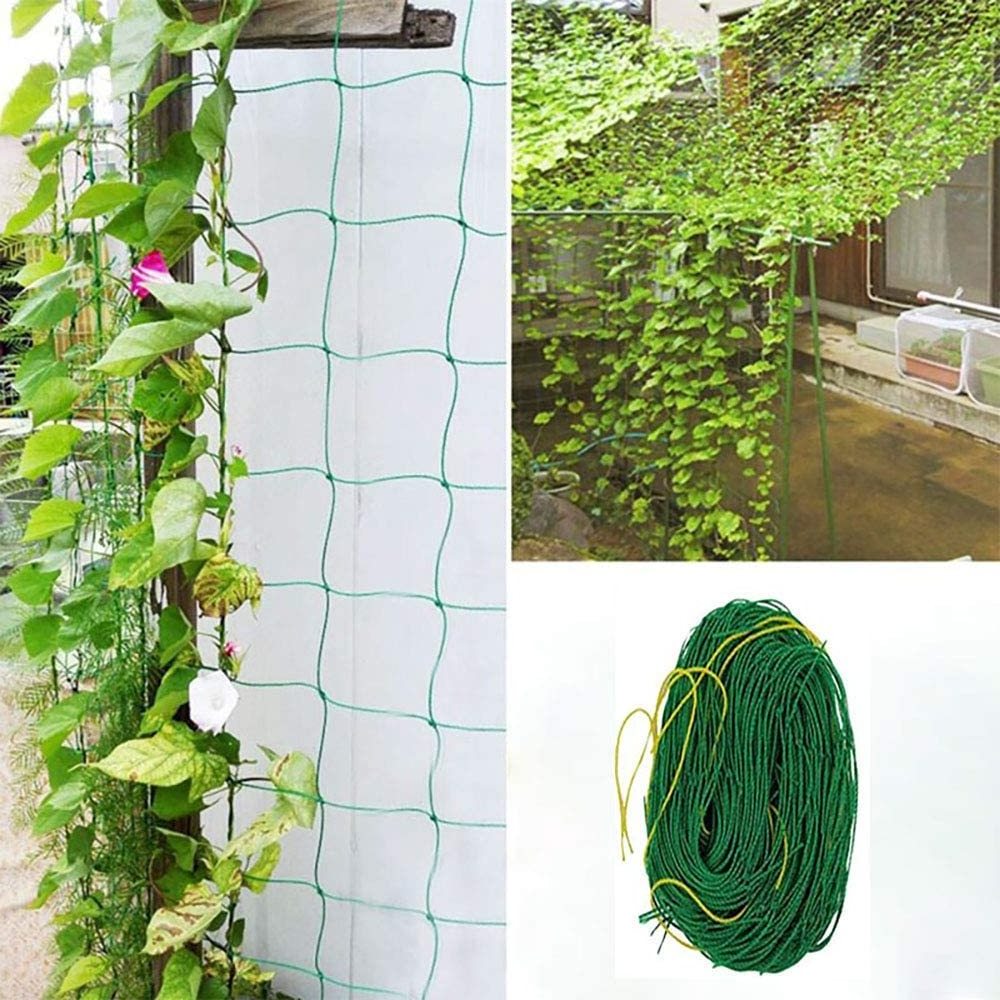 Cucumber Vine Fruits Vegetables Tomato Agriculture Plastic Plant Climbing Trellis Netting Plant Climbing Net