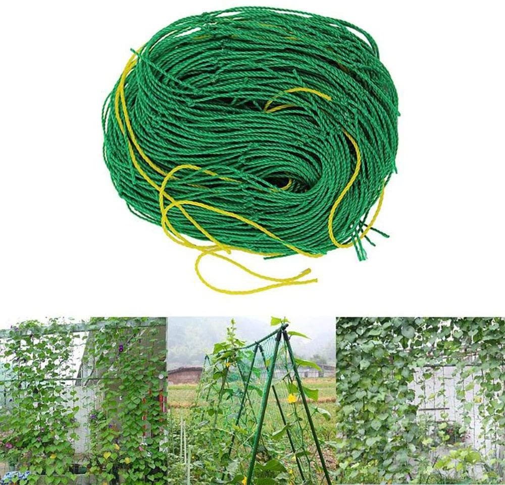 Cucumber Vine Fruits Vegetables Tomato Agriculture Plastic Plant Climbing Trellis Netting Plant Climbing Net