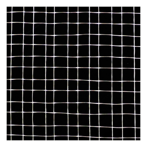 Low Price Fiberglass Wall Netting Mesh PP1010 Fiberglass Screen Mesh Roll