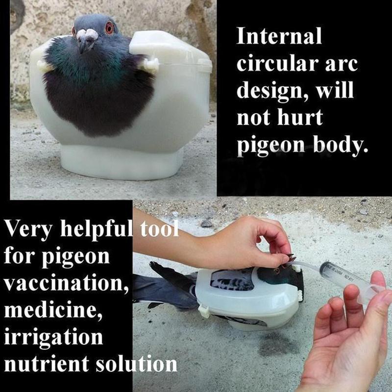 Racing Pigeon Holder For Feeding Fixed Mount Bird Supplies Pigeon Injection Vaccination Fixed Bondage Tool