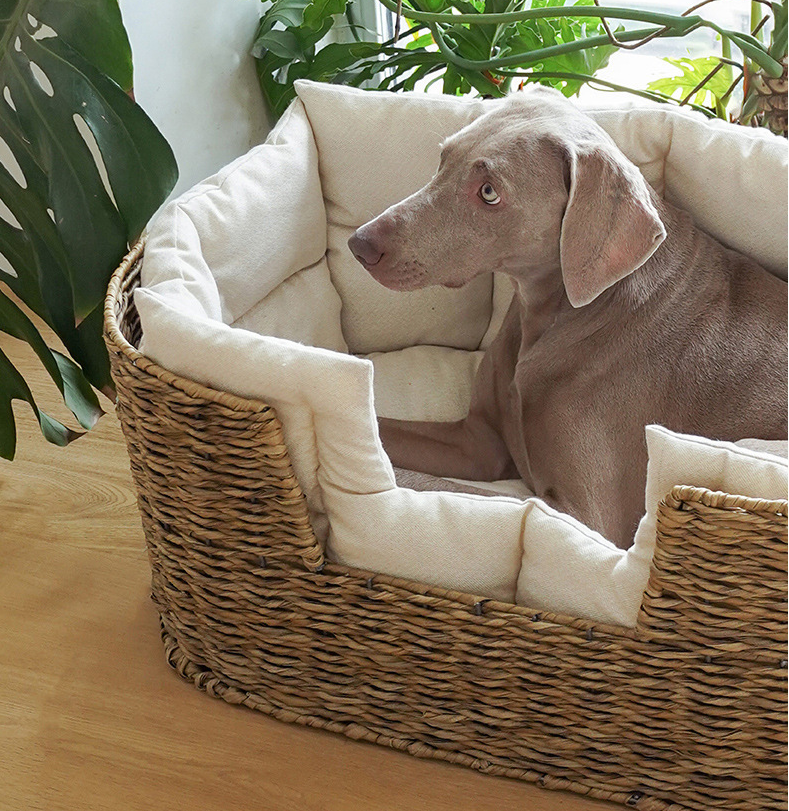 Custom Rectangular New Eco Friendly Summer Cooling Natural hand woven rattan pet bed seagrass dog bed