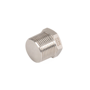 Hollow Hex Plug High Pressure Forged Male Thread Plug Stainless or Carbon Steel Hex Plug