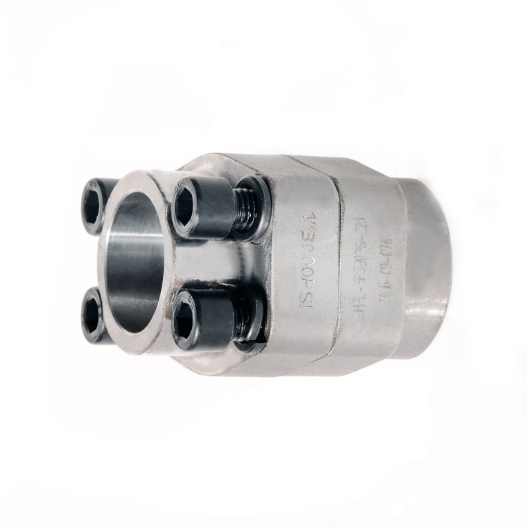 Stainless Steel SAE Flange /Socket Weld Flange Coupling/ ISO 6161, ISO 6162