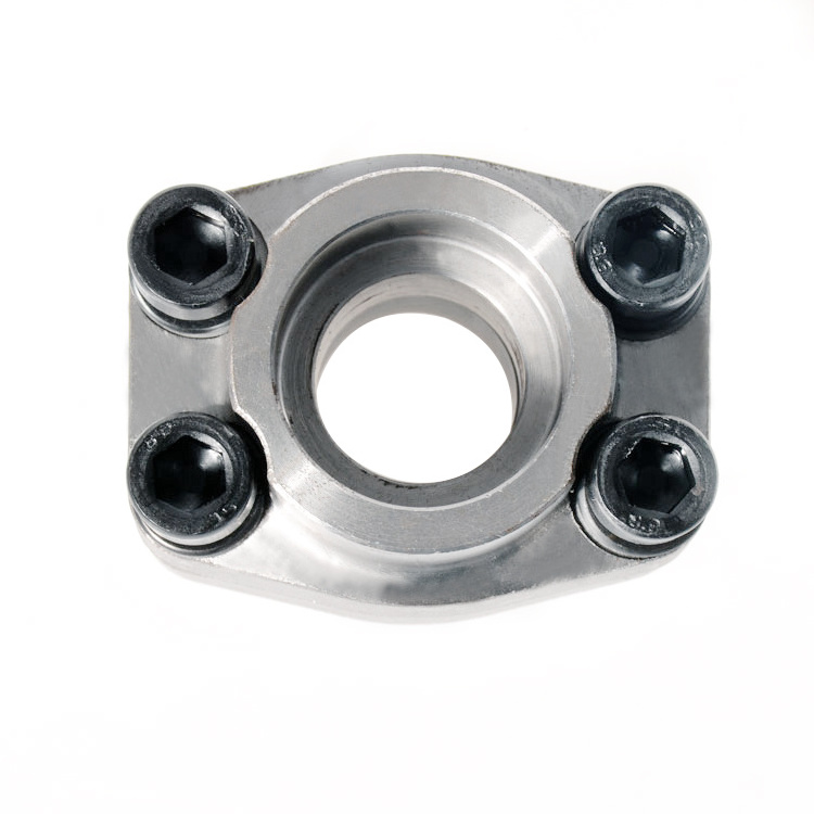 Stainless Steel SAE Flange /Socket Weld Flange Coupling/ ISO 6161, ISO 6162