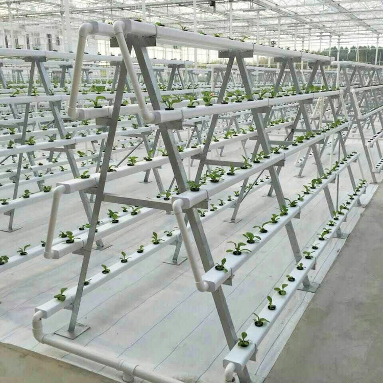 2021 Commercial Good Quality Indoor Hydroponic Greenhouse Growing Systems