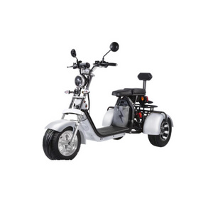 2021 New High Safety Strong Motor Snow Scooter Customized Color Energy Saving Electric Snowmobile