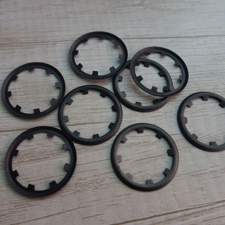 Bearing Clip Ring Washer Star Toothed Lock Washer Retaining Starlock Washer for Shaft Carbon Steel SY TT Custom Size DIN CN;JIA