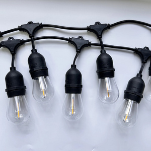 Wholesale In Stocks ready to ship 220V 120V Warm White 2700K E27 Sockets S14 1W Clear plastic Globe LED Filament Bulb