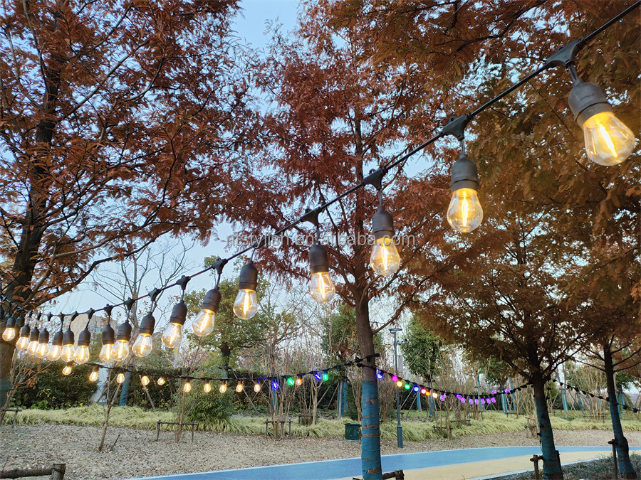 IP65 Waterproof Wedding Decoration Christmas Decorations Festoon Cable Outdoor Led String Light