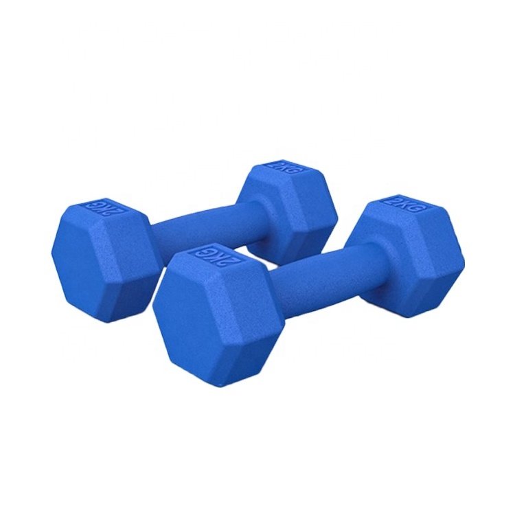 Commercial use hex plastic coated dumbbell