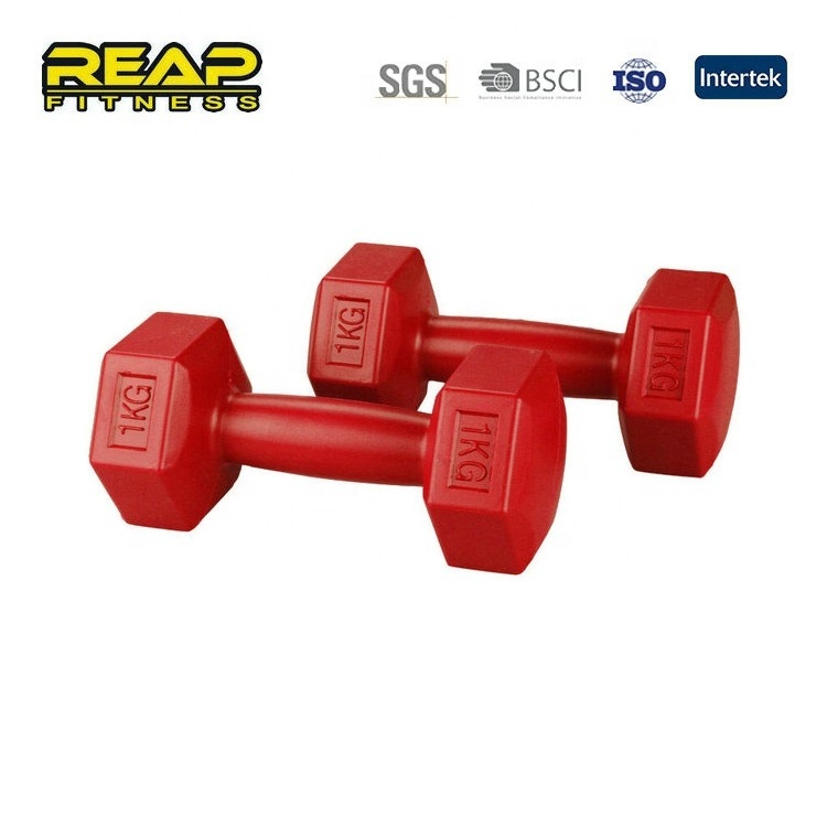 Commercial use hex plastic coated dumbbell