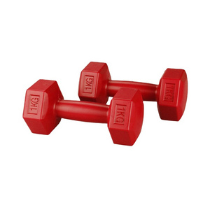 Commercial use hex plastic coated dumbbell