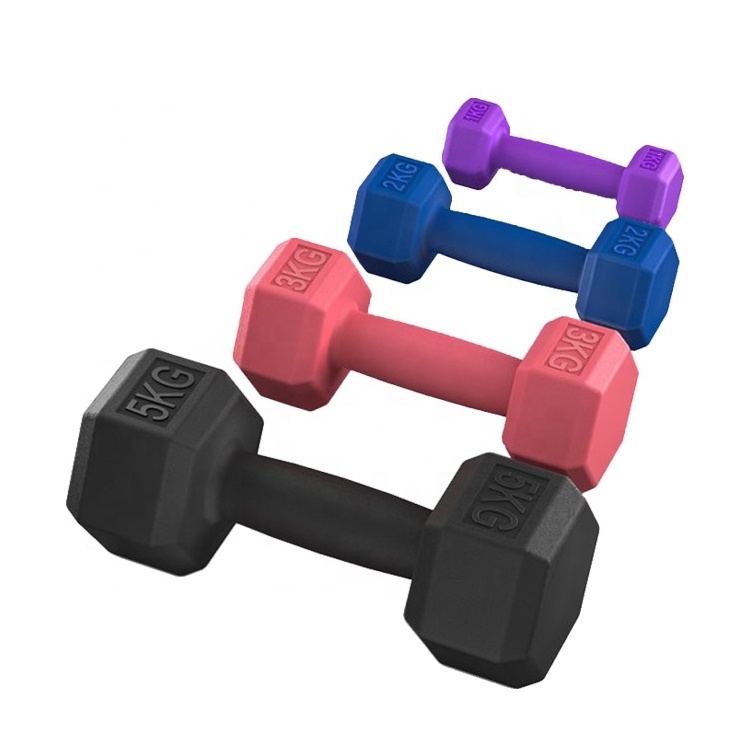 Commercial use hex plastic coated dumbbell