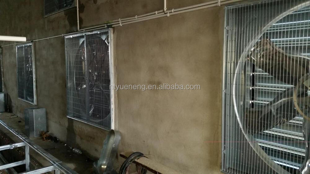 exhaust fan for chicken farm ventilation, 10000 cfm 36 inch exhaust fan ventilation