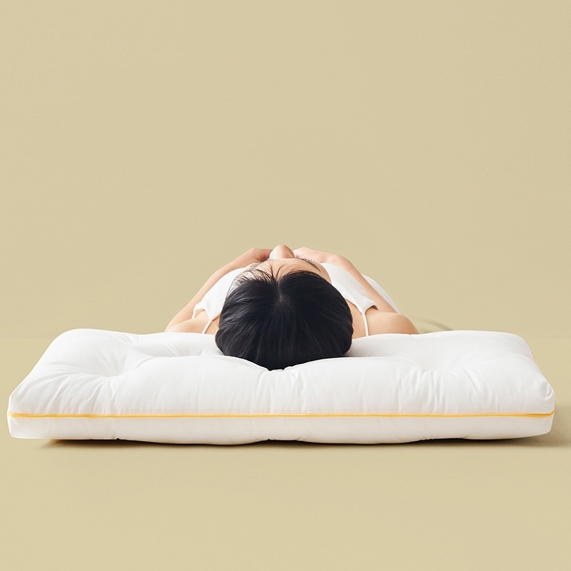 High Quality Cervical Ergonomic Pillow Silk and Microfiber Filling Comfortable Pillow