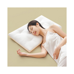 High Quality Cervical Ergonomic Pillow Silk and Microfiber Filling Comfortable Pillow