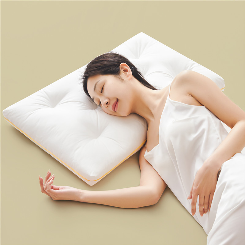 High Quality Cervical Ergonomic Pillow Silk and Microfiber Filling Comfortable Pillow