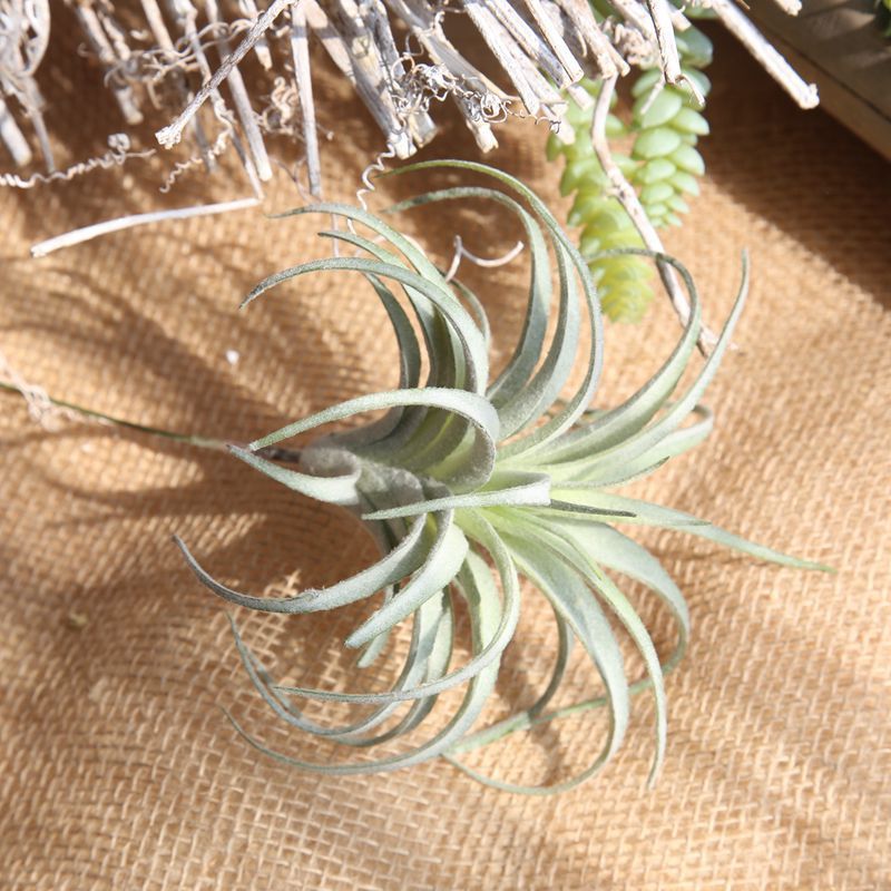 popular new Faux Plants  Air Plant Stems for Floral Arrangement Artificial Succulents Unpotted  decoration plant