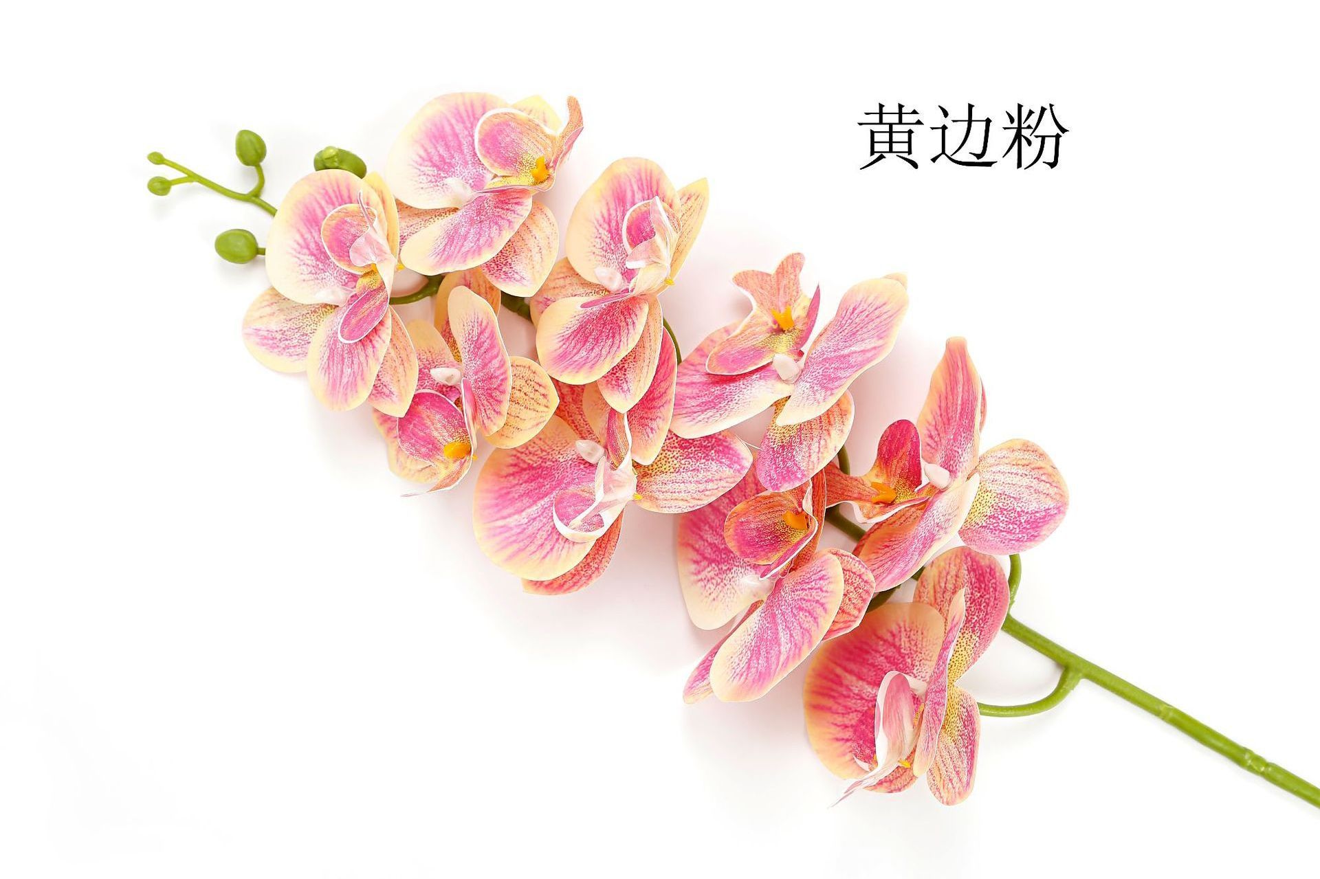 Wholesale Single Branch Imitation Butterfly Orchid Fake Flowers For Wedding Home