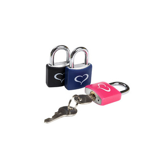 Aluminium Brass Cylinder Colorful Printing Lock Padlock For Cabinet Gym