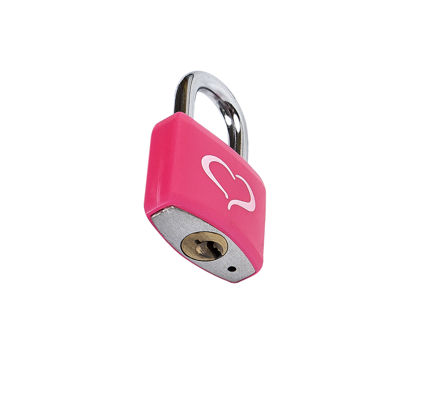 Aluminium Brass Cylinder Colorful Printing Lock Padlock For Cabinet Gym