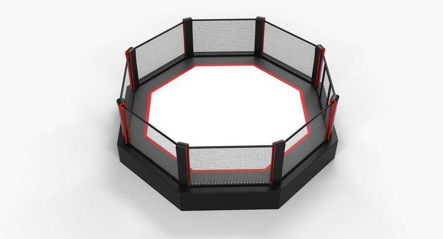 2021 Custom Mma Fight Cheap Factory Sale Wrestling Martial Arts Mma Octagon Ufc Boxing Fighting Arena Boxing Fitness Cage