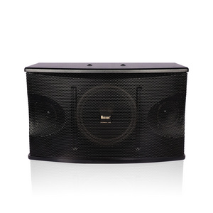 Hot Sale Home Theater KTV System Portable Speaker Box 10 inch Karaoke Speaker