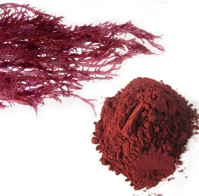 Natural dried dulse extract Palmaria palmata powder Red Algae Powder