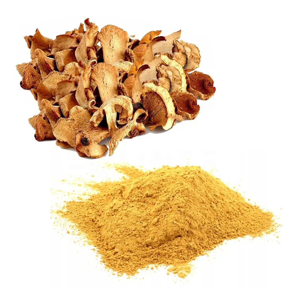 Factory supply top quality chanterelle mushroom extract chanterelle mushroom powder