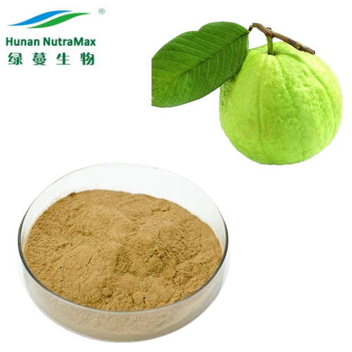 Guava Fruit Extract Powder/ Guava Leaf Extract Powder  4:1~ 20:1