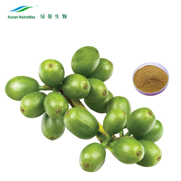 Green Coffee Bean Extract with Chlorogenic Acid powder