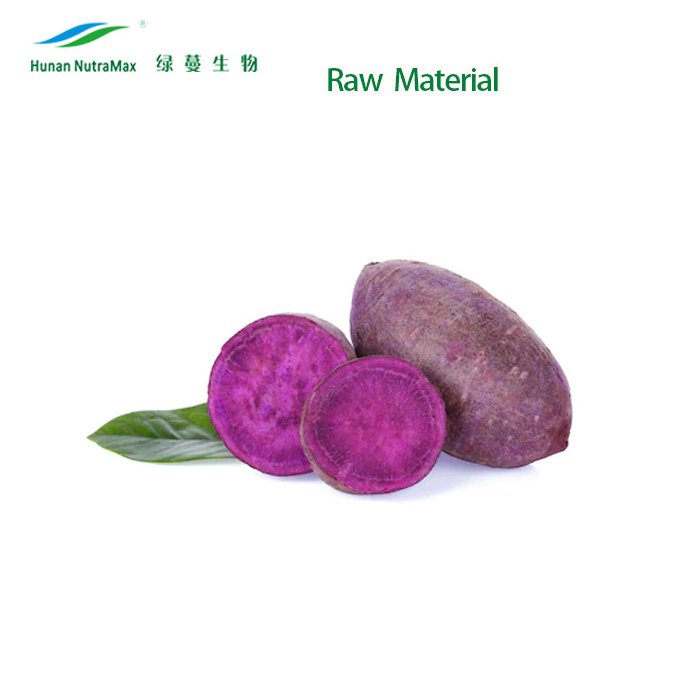 Free samples Ube Purple Yam Flavoring Extract Premium Lilac Taro Yam Powdered Purple Yam