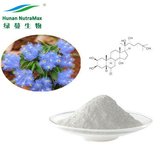 Beta-Ecdysone 90% UV Cyanotis Arachnoidea Extract Natural Cyanotis Arachnoides P.E.