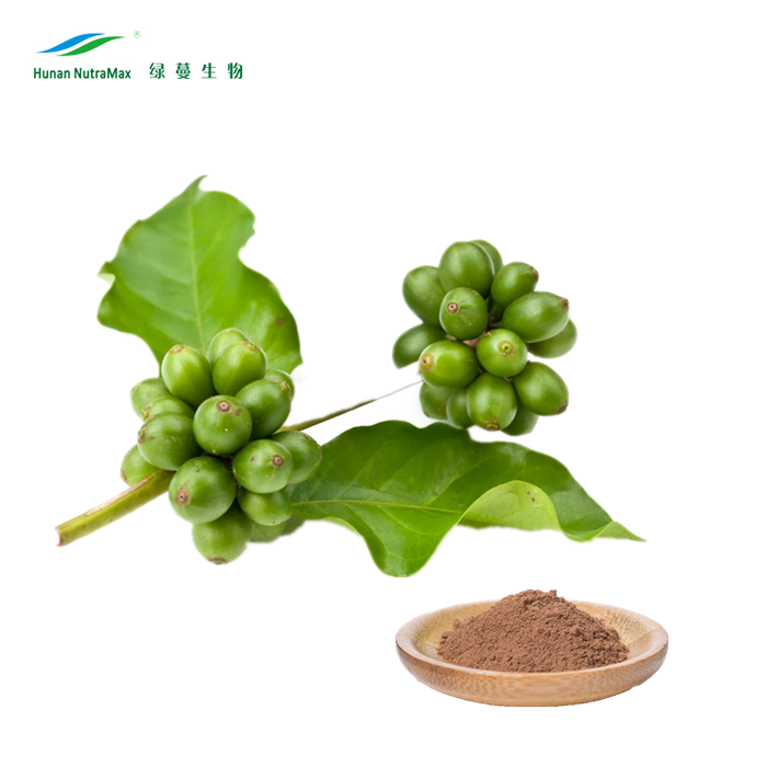 High quality Green Coffee Bean Extract of 10%-98% Chlorogenic acid (HPLC)